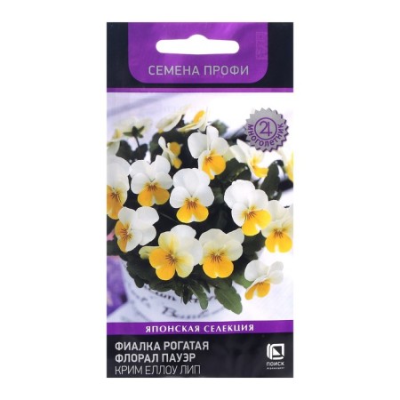Flower seeds violet "Floral Power Crime Yello Lip", 10 pcs