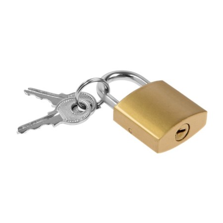 The castle of a hinged type 14, 25 mm, 2 keys-1