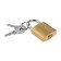 The castle of a hinged type 14, 25 mm, 2 keys
