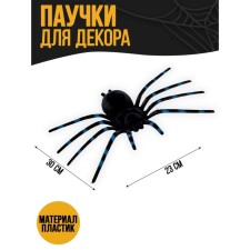 Spider joke, black color