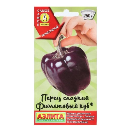 Sweet pepper seeds "purple cube", 20 pcs