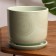 Flower Orion Green Pot 1.6 L