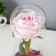 Spinker Sales "Pink Rose" LED 3AAA 8x8x17 cm Risalux