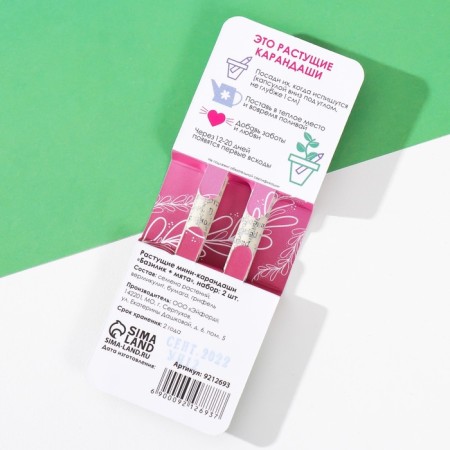 Growing gift pencils Mini "Basil + Mint" set 2 pcs.-1