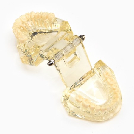 Magist "Jaw" 9*6*7cm-3