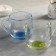 Glass mug "Gramine", 300 ml, color mix