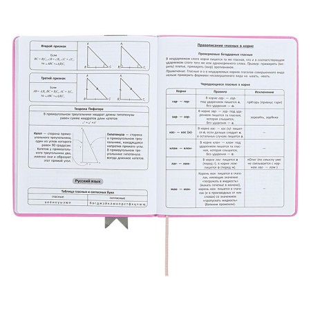 Universal diary for grades 1-11 Lenta, solid cover of artificial leather, applique, silkography, liesse, 48 sheets, pink-9