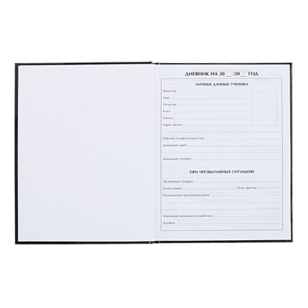 Universal diary for grades 1-11, "noble cat", solid cover 7BC, glossy lamination, 40 sheets-4