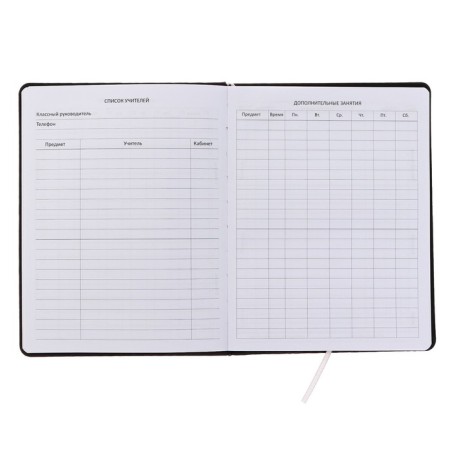Universal diary for grades 1-11 T-ROX, hard cover, artificial leather, silk-screen printing, Liesse, 80 g/m2-3