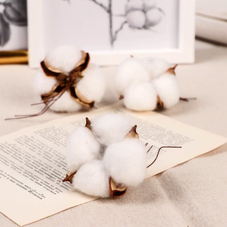 Sukhotzet "Cotton" D-5 cm, 5 cm, white-1