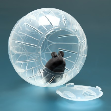 A ball for rodents on a metal base, 12 cm, transparent-2