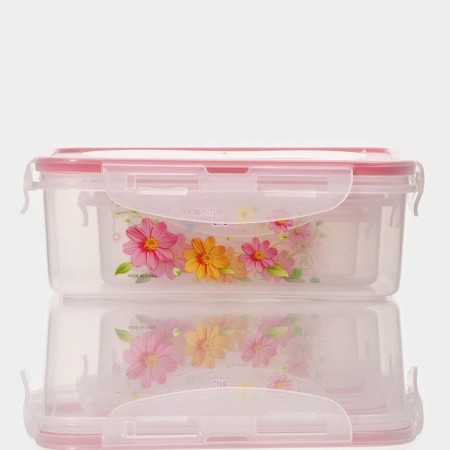 A set of lunch boxes of plastic rectangular "Polyanka", 3 pcs: 150 ml, 300 ml, 500 ml, color mix-1