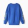 Sweatshirt for a boy, blue color, height 158-164 cm