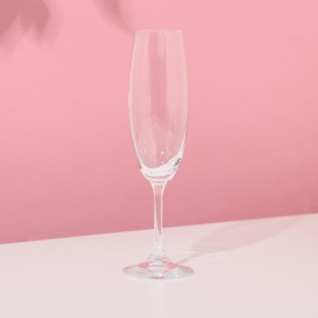 Set of glasses for champagne "Lara", 220 ml, 6 pcs-1