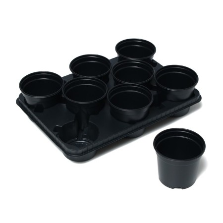 Set for seedlings: glasses of 520 ml (8 pcs), pan 40 × 30 cm, black, Greengo-8