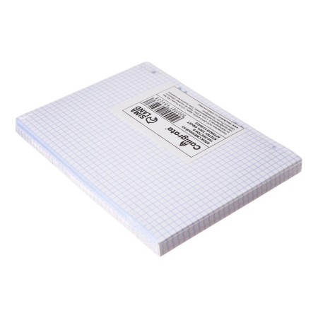 Smecked block for notebooks on A5 rings, 160 sheets in the Calligrata cell, offset, 60 g/m2, whiteness 100%-2