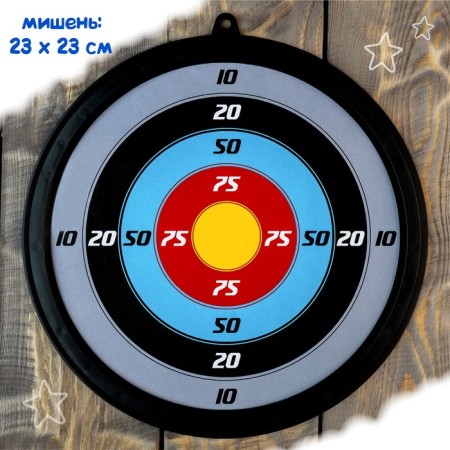 Onions are a well -aimed shooter, with targets and arrows on suction cups-4