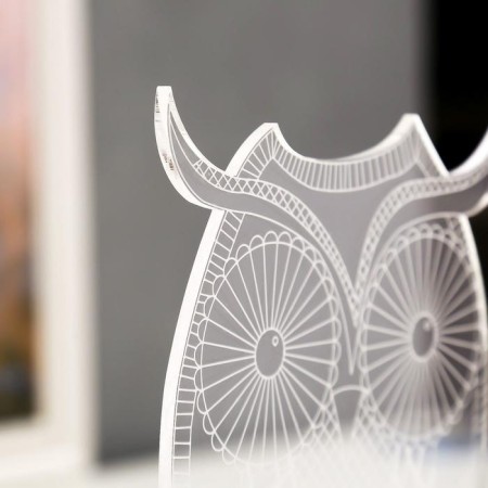 Lamp "Big Eagle" Led White from the network 9.5x13x22cm Risalux-5