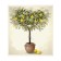 Set of napkins for setting the table "Vase with lemons", rectangular, size 32x46 cm, 4 pcs