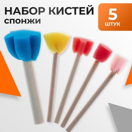 Set of brushes - sponge, 5 pieces