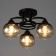 Iris chandelier 3he27 40w Black 42x42x23 cm Bayerlux