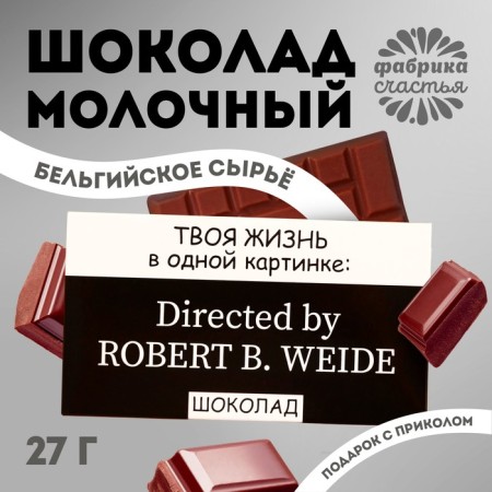 Milk chocolate "Life in one picture", 27 g.