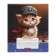 Notebook 12 sheets in a cage on the paper clip "We are cats!", Mix