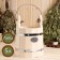 A bucket of linden, Emelya, 5l, stainless hoop, handle-Vervka, "Dobroparov"