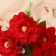 Bouquet "Freesia premium" 8x26 cm, mix