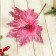 Decor "Winter Flower" Reed, 23x19 cm, pink