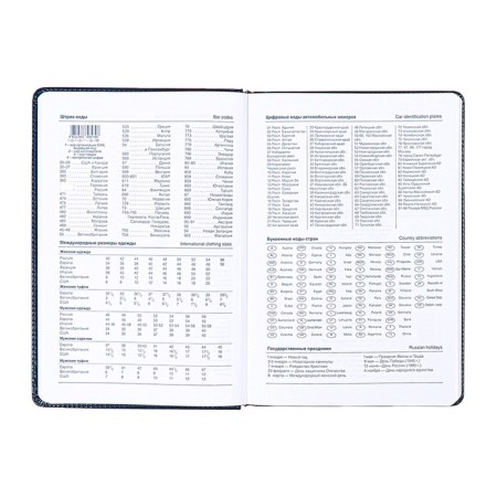 Deliciper is low, PVC cover, A5 format, 140 l, cell, metallic blue-8