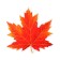 Decoration on the adhesive tape "Maple leaf" Red, 18x18 cm