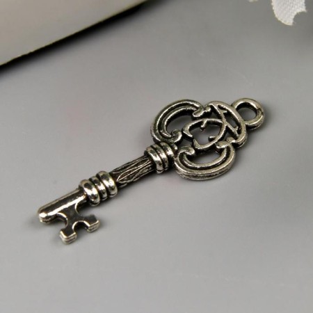 Suspension "key" color silver 1x2.5 cm-1