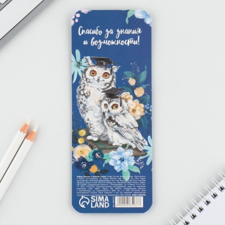 Stickers on the substrate "Beloved Teacher", 30 sheets, 3 pcs.-3