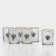 Set of glass glasses "Russia", 250 ml, 6 pcs