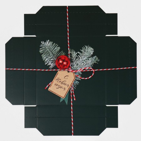 Box the team "New Year's package", 17 x 17 x 7 cm, New Year-7
