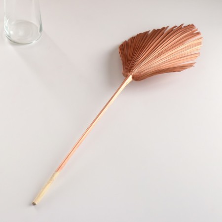 Washingtonia Palm sheet "Peak" 50-60 (+/- 6 cm), 1 pc, col. Copper metallic-3