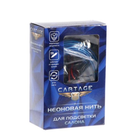 Cartage neon thread for lighting salon, 12 V, 5 m, blue power adapter-4