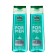 Gift set Pure Taiga line: Contractor shampoo, 250 ml + shower gel, 250 ml