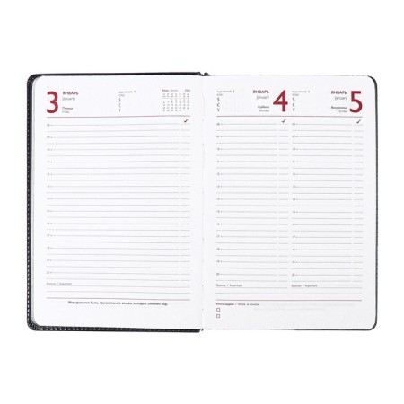 Dated 2025 diary, Escalada, A5 176 sheets, solid cover artificial leather with foam rubber, pancake embossing, cover on the cover, block 70 g/m2, black-13