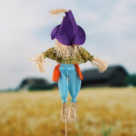 The garden scarecrow "pumpkin", h = 80 cm, mix, Greengo-1