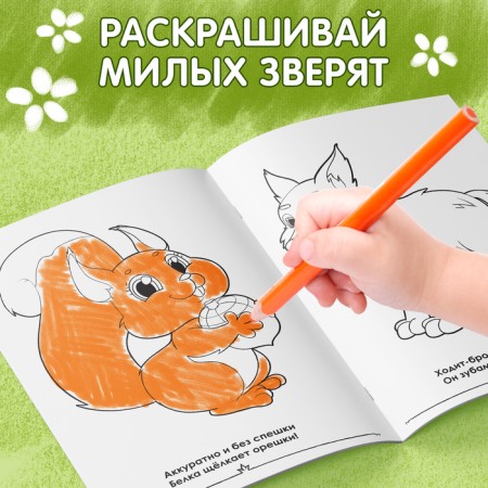 Coloring for babies "Forest animals", A4 format, 16 p.-3