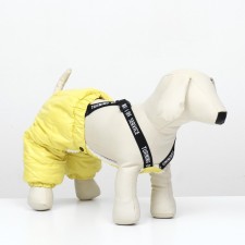 Complex-strokes for dogs, size M (DS 36, from 40 cm), yellow