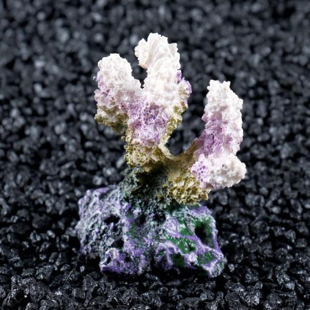 Decorative Coral "Sinulary", 7 x 4 x 7 cm-2