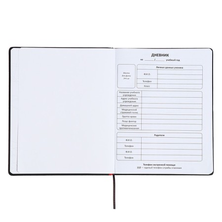 Universal diary for grades 1-11 "Font", firm cover of artificial leather, lies, 48 ​​sheets, black and blue-3