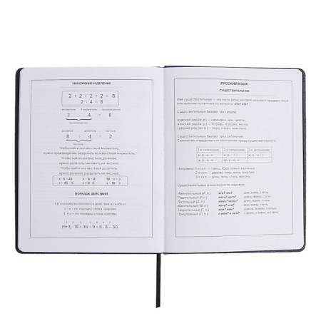 Universal Grade 1-11 Diary, 48 sheets "Joystick", a solid cover of artificial leather, applique, pancake embossing, lisse, universal cheat sheet, block 80 g/m2-11