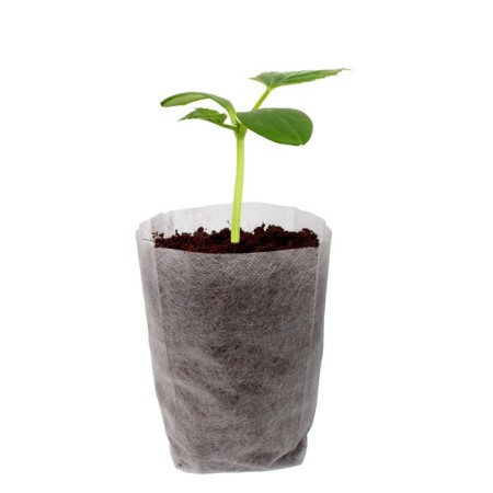 Packages for seedlings, 1,500 ml, 18 × 20 cm, in a set of 100 pcs.-1