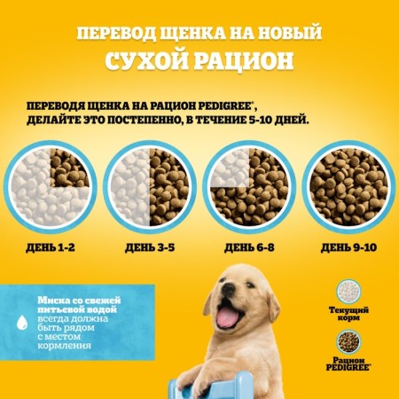 Сухой корм Pedigree для щенков всех пород, курица, 13 кг-6