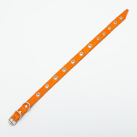 Single-layer leather collar with corrugated eyelets, dimensionless, 40 x 1.5 cm, Osh 27-35 cm, red 70-2