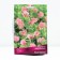 Aquilegia Hybrid Maccana Barlow Pink, Rr. I, 1 pc, spring 2025